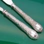 Ornate 1878 Floral Scroll Beautiful Silver Plated Large Jam Spoon & Cake Knife (#60843) 2