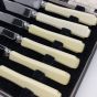 Vintage Cased Tea / Butter Knives - Faux Bone Handled Stainless Steel Cutlery (#61677) 2