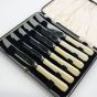 Vintage Cased Tea / Butter Knives - Faux Bone Handled Stainless Steel Cutlery (#61677) 4