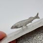 Vintage Pewter & Glass Sardine Dish Barker Bros Unity (#61867) 2