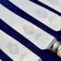 Faux Bone Handled Cased Set 6 Tea Knives Stainless Steel Vintage Cutlery Turton (#99744) 2
