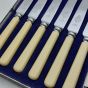 Faux Bone Handled Cased Set 6 Tea Knives Stainless Steel Vintage Cutlery Turton (#99744) 3