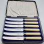 Faux Bone Handled Cased Set 6 Tea Knives Stainless Steel Vintage Cutlery Turton (#99744) 4