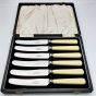 Vintage Cased Set Of 6 Tea Knives Faux Bone Handled Steel Cutlery Sheffield (#99765) 4
